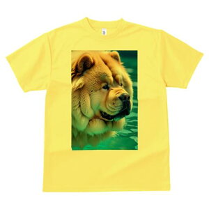 `E`E TVc fB[X t@  t  vg JWA 킢 lԗp h ̃fUC ʔ  `E`E