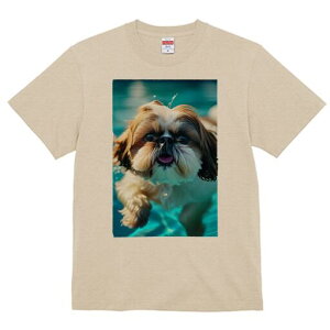 V[Y[ TVc fB[X t@  t  vg JWA 킢 lԗp h ̃fUC ʔ  V[Y[ v[