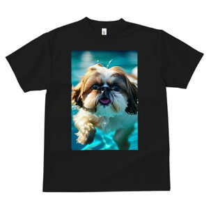 V[Y[ TVc fB[X t@  t  vg JWA 킢 lԗp h ̃fUC ʔ  V[Y[ v[