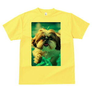 V[Y[ TVc fB[X t@  t  vg JWA 킢 lԗp h ̃fUC ʔ  V[Y[ v[