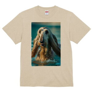 AtKnEh TVc fB[X t@  t  vg JWA 킢 lԗp h ̃fUC ʔ  AtKnEh