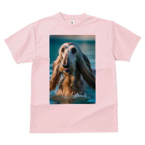 AtKnEh TVc fB[X t@  t  vg JWA 킢 lԗp h ̃fUC ʔ  AtKnEh