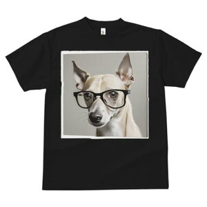 C^AO[nEh TVc fB[X t@  t  vg JWA 킢 lԗp h ̃fUC ʔ Kl C^AO[nEh