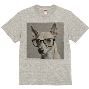 C^AO[nEh TVc Y LbY t@  t  vg JWA 킢 lԗp h ̃fUC ʔ Kl C^AO[nEh