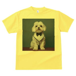 }`[Y TVc fB[X t@  t  vg JWA 킢 lԗp h ̃fUC ʔ ^LV[h }`[Y lN^C