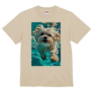 }`[Y TVc fB[X t@  t  vg JWA 킢 lԗp h ̃fUC ʔ  }`[Y 