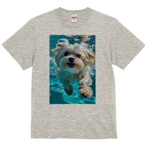 }`[Y TVc fB[X t@  t  vg JWA 킢 lԗp h ̃fUC ʔ  }`[Y 