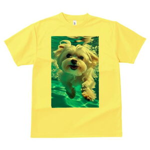 }`[Y TVc fB[X t@  t  vg JWA 킢 lԗp h ̃fUC ʔ  }`[Y 