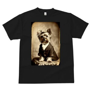 [NV[eA TVc fB[X t@  t  vg JWA 킢 lԗp h ̃fUC ʔ X[c [NV[eA lN^C AeB[