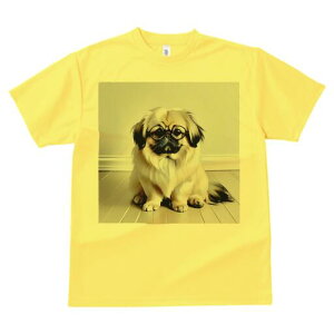 yLj[Y TVc fB[X t@  t  vg JWA 킢 lԗp h ̃fUC ʔ Kl yLj[Y  