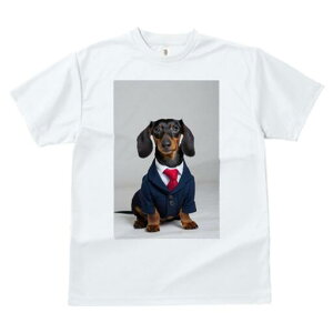 _bNXth TVc fB[X t@  t  vg JWA 킢 lԗp h ̃fUC ʔ X[c _bNXth lN^C rWlX