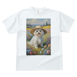 }`[Y TVc fB[X t@  t  vg JWA 킢 lԗp h ̃fUC ʔ Xq }`[Y  i