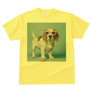 r[O TVc fB[X t@  t  vg JWA 킢 lԗp h ̃fUC ʔ Kl r[O