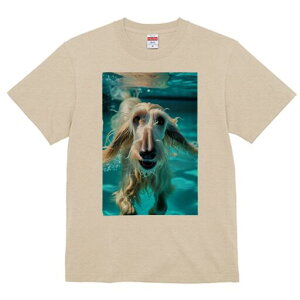 AtKnEh TVc fB[X t@  t  vg JWA 킢 lԗp h ̃fUC ʔ  AtKnEh v[