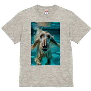 AtKnEh TVc fB[X t@  t  vg JWA 킢 lԗp h ̃fUC ʔ  AtKnEh v[