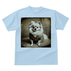 |jA TVc fB[X t@  t  vg JWA 킢 lԗp h ̃fUC ʔ g |jA Be[W  ё