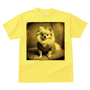 |jA TVc fB[X t@  t  vg JWA 킢 lԗp h ̃fUC ʔ g |jA Be[W  ё