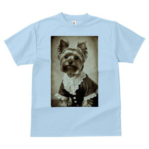 [NV[eA TVc fB[X t@  t  vg JWA 킢 lԗp h ̃fUC ʔ g [NV[eA AeB[N hX 