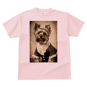 [NV[eA TVc Y LbY t@  t  vg JWA 킢 lԗp h ̃fUC ʔ g [NV[eA AeB[N hX