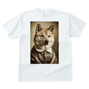 Č TVc fB[X t@  t  vg JWA 킢 lԗp h ̃fUC ʔ  Č {^ 