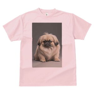 yLj[Y TVc fB[X t@  t  vg JWA 킢 lԗp h ̃fUC ʔ yLj[Y