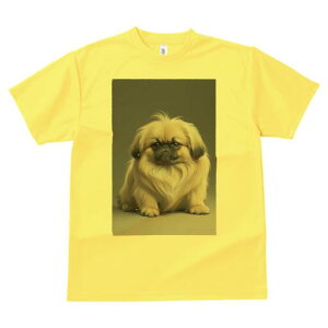 yLj[Y TVc fB[X t@  t  vg JWA 킢 lԗp h ̃fUC ʔ yLj[Y