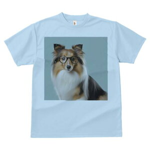 VFbghV[vhbO TVc fB[X t@  t  vg JWA 킢 lԗp h ̃fUC ʔ Kl VFbghV[vhbO