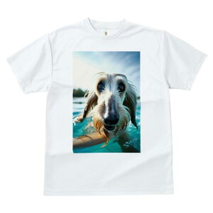 AtKnEh TVc fB[X t@  t  vg JWA 킢 lԗp h ̃fUC ʔ  AtKnEh  Ԃ