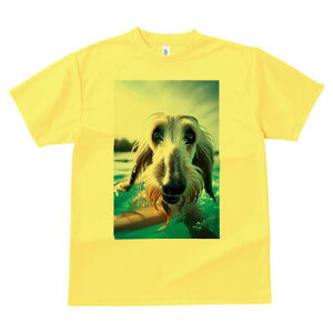 AtKnEh TVc fB[X t@  t  vg JWA 킢 lԗp h ̃fUC ʔ  AtKnEh  Ԃ