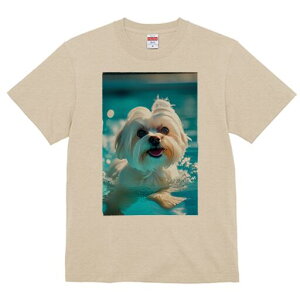 }`[Y TVc fB[X t@  t  vg JWA 킢 lԗp h ̃fUC ʔ  }`[Y v[