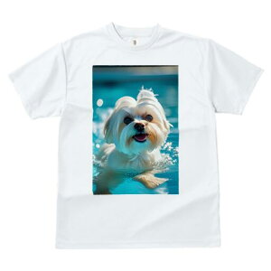 }`[Y TVc fB[X t@  t  vg JWA 킢 lԗp h ̃fUC ʔ  }`[Y v[