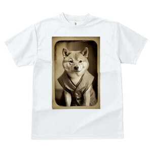 Č TVc fB[X t@  t  vg JWA 킢 lԗp h ̃fUC ʔ X[c Č g