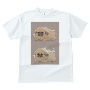 yLj[Y TVc fB[X t@  t  vg JWA 킢 lԗp h ̃fUC ʔ ӂӂ yLj[Y 킢  ybg