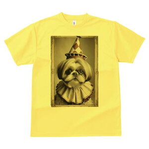 V[Y[ TVc fB[X t@  t  vg JWA 킢 lԗp h ̃fUC ʔ sG V[Y[ Xq T[JX