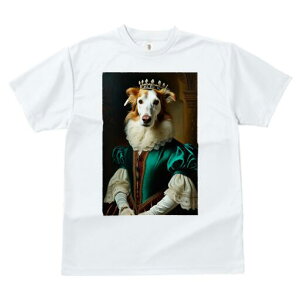 {[_[R[ TVc fB[X t@  t  vg JWA 킢 lԗp h ̃fUC ʔ  {[_[R[ hX ё