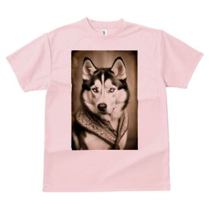 VxAnXL[ TVc fB[X t@  t  vg JWA 킢 lԗp h ̃fUC ʔ XJ[t VxAnXL[