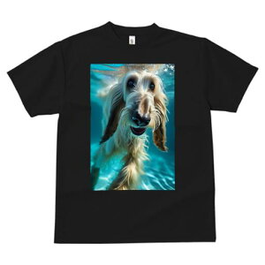 AtKnEh TVc fB[X t@  t  vg JWA 킢 lԗp h ̃fUC ʔ  AtKnEh 