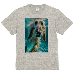 AtKnEh TVc fB[X t@  t  vg JWA 킢 lԗp h ̃fUC ʔ  AtKnEh 