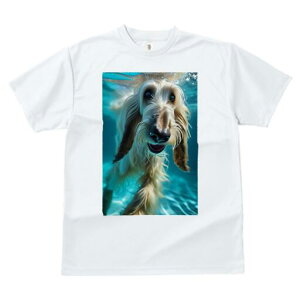 AtKnEh TVc fB[X t@  t  vg JWA 킢 lԗp h ̃fUC ʔ  AtKnEh 