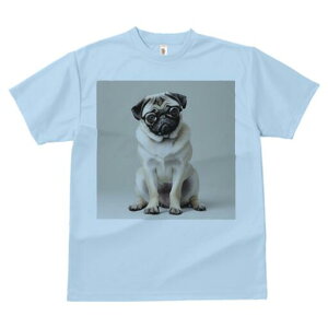 pO TVc fB[X t@  t  vg JWA 킢 lԗp h ̃fUC ʔ Kl pO