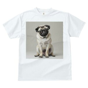 pO TVc fB[X t@  t  vg JWA 킢 lԗp h ̃fUC ʔ Kl pO