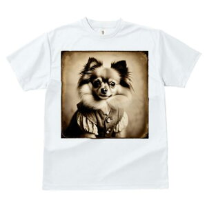 ` TVc fB[X t@  t  vg JWA 킢 lԗp h ̃fUC ʔ AeB[N ` g Be[W 