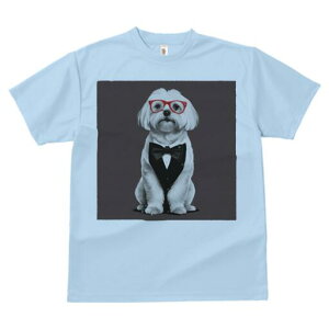 }`[Y TVc fB[X t@  t  vg JWA 킢 lԗp h ̃fUC ʔ lN^C }`[Y Kl