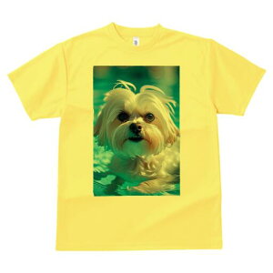 }`[Y TVc fB[X t@  t  vg JWA 킢 lԗp h ̃fUC ʔ  }`[Y v[