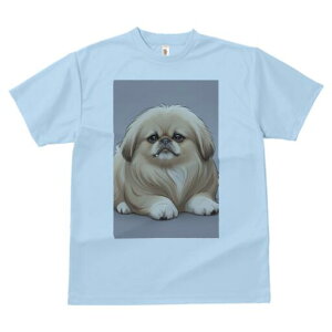 yLj[Y TVc fB[X t@  t  vg JWA 킢 lԗp h ̃fUC ʔ yLj[Y