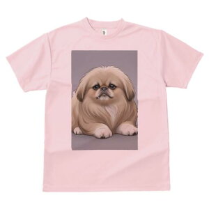 yLj[Y TVc fB[X t@  t  vg JWA 킢 lԗp h ̃fUC ʔ yLj[Y