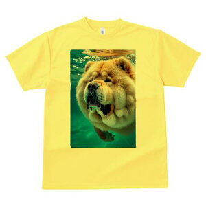 `E`E TVc fB[X t@  t  vg JWA 킢 lԗp h ̃fUC ʔ  `E`E 