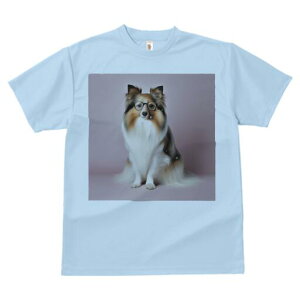 VFbghV[vhbO TVc fB[X t@  t  vg JWA 킢 lԗp h ̃fUC ʔ Kl VFbghV[vhbO