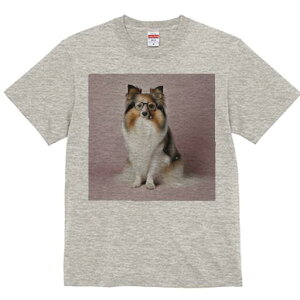 VFbghV[vhbO TVc fB[X t@  t  vg JWA 킢 lԗp h ̃fUC ʔ Kl VFbghV[vhbO