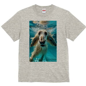 AtKnEh TVc fB[X t@  t  vg JWA 킢 lԗp h ̃fUC ʔ  AtKnEh v[